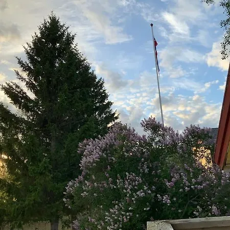 Vestermo Holiday home
