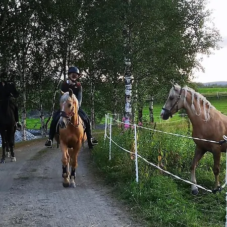 Vestermo Brandvoll