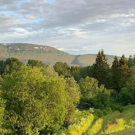 Vestermo Brandvoll