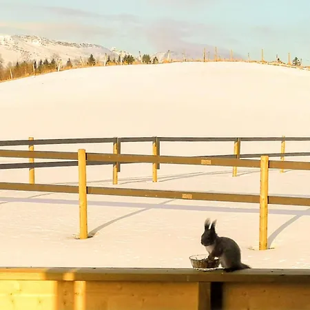 בית נופש Vestermo *
