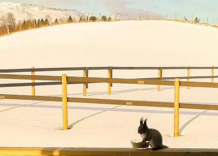 בית נופש Vestermo *