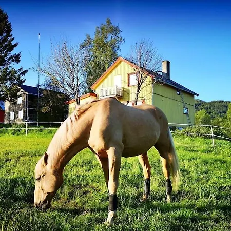 Vestermo * Brandvoll